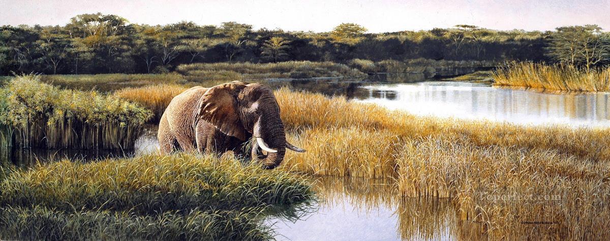 mzinene elephant Oil Paintings